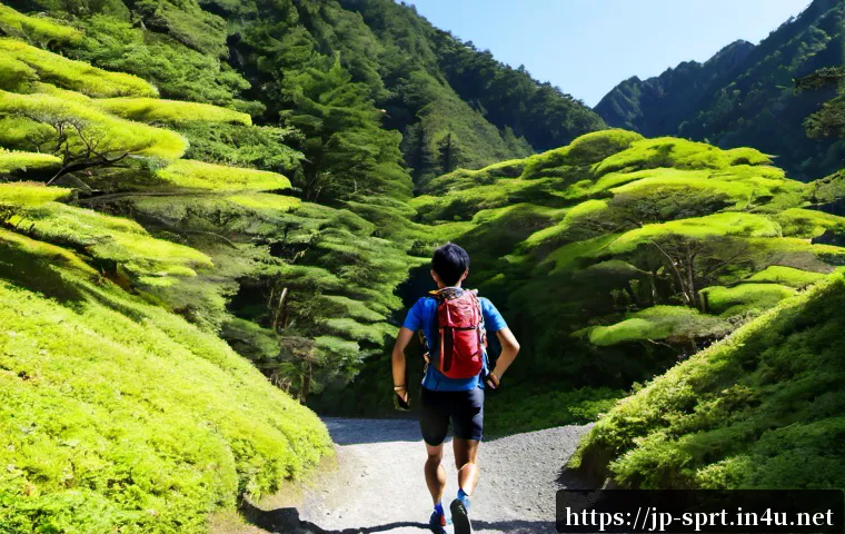 러닝 및 트레킹 배낭 추천 관련 이미지 1